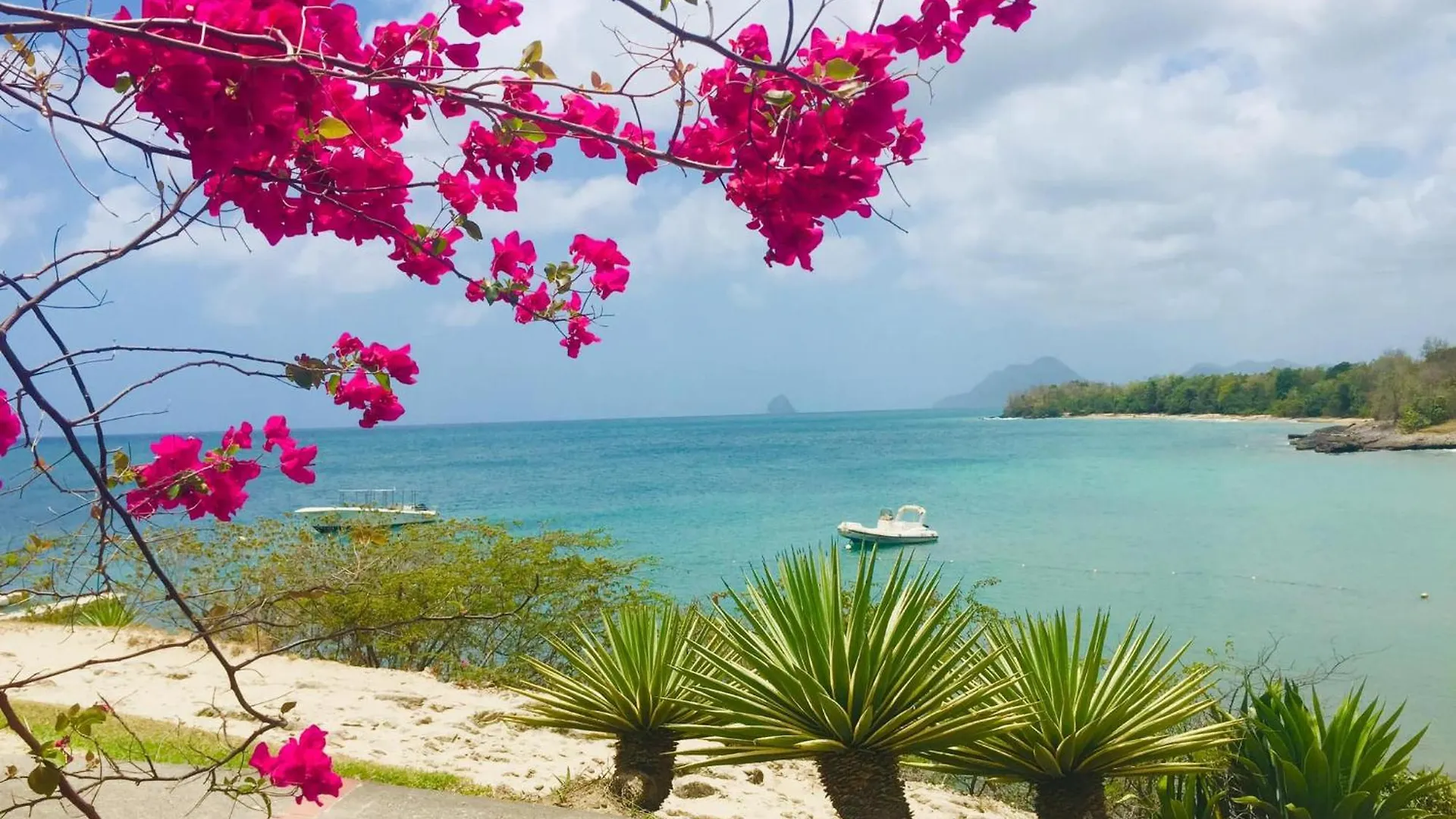 Villa Ti Alizes Sainte-Luce